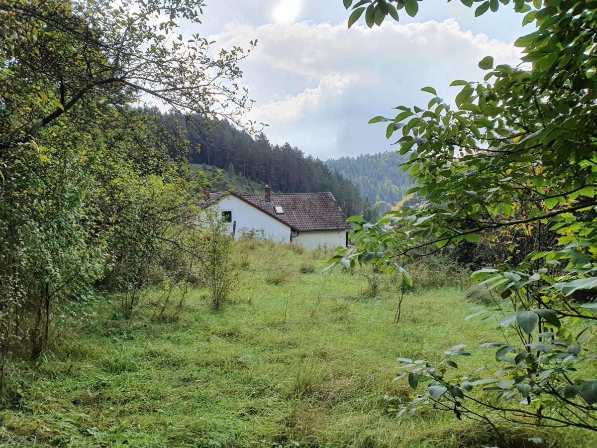 Apartmán Haus Goldfuss Pottenstein Exteriér fotografie